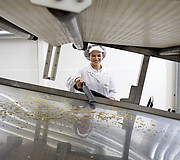 Пылесос Karcher NT 65/2 Tact2